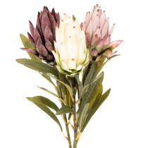 Artículo Protea artificial Leucadendron 65cm 3 piezas