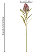 Artículo Protea artificial Leucadendron 100cm 3 piezas