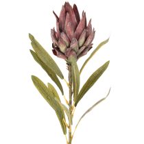 Artículo Protea artificial Leucadendron 100cm 3 piezas