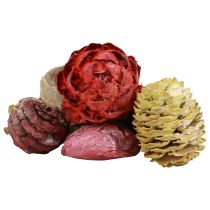 Artículo Conos Leucadendron Bellgum Verde Rojo Amarillo Esmerilado 300g