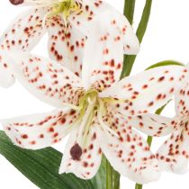 Artículo Lirio artificial como tallo de flor para una decoración elegante y de bajo mantenimiento, 82 cm, 2 piezas