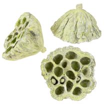 Artículo Frasco Lotus mix verde lavado Ø6cm - 10cm 50uds