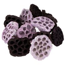 Artículo Lotus Mix Rosa, Erika Ø6cm - Ø10cm 50 uds