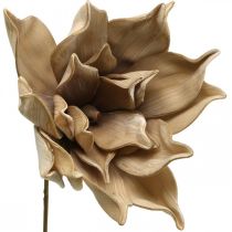 Flor de loto, decoración flor de loto, planta artificial beige L66cm