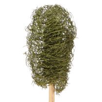 Artículo Esponja de luffa pequeña en palito, pepino verde oscuro, 5-7 cm, 25 unidades