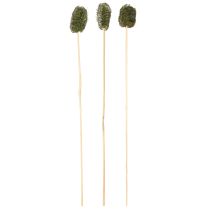 Artículo Esponja de luffa pequeña en palito, pepino verde oscuro, 5-7 cm, 25 unidades
