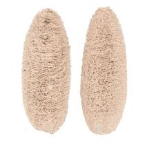 Artículo Luffa grande blanqueada 20 piezas