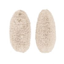 Artículo Luffa pequeña blanqueada 50 uds.