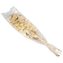 Artículo Lunaria Deco Luna Violeta Plata Hoja Seca 90cm 100g