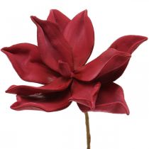Artículo Magnolia artificial roja flor artificial decoración de flores de espuma Ø10cm 6pcs