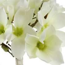 Artículo Ramo de magnolia blanco 40cm 5uds