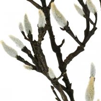 Rama de magnolia artificial Rama decorativa de primavera con capullos Marrón Blanco L135cm