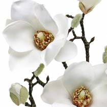 Artículo Magnolia rama blanca Rama decorativa magnolia flor artificial