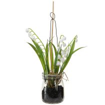 Artículo Lirio de los valles en un vaso artificial de floración temprana H22cm 3 piezas