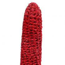 Mazorcas de maíz en un palo rojo, blanco lavado 20 piezas