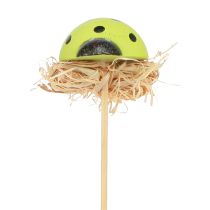 Artículo Tapones florales decorativos Ladybug color madera 3,5 cm 24 piezas