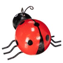 Artículo Mariquitas de madera/bichos de la suerte como lindas decoraciones para el hogar, 5 cm, 6 piezas
