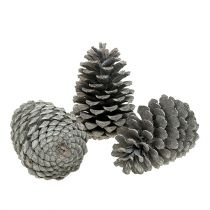 Artículo Conos Maritima 10cm - 14cm encalados 25uds