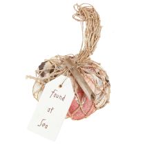 Artículo Conchas decorativas marítimas mezcladas en la red coloridas 3,5-6 cm 300 g × 3 piezas