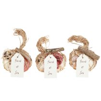 Artículo Mezcla de conchas decorativas marítimas en red, coloridas, 3,5-6 cm, 300 g × 3 piezas