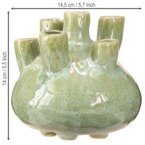 Artículo Jarrón Decoración Marítima Diseño Coral Verde Claro Ø14,5cm H14cm