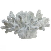 Artículo Decoración marítima coral poliresina blanco 38cm×44cm×27cm