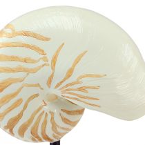 Artículo Escultura decorativa marítima concha de caracol con base 30,5cm