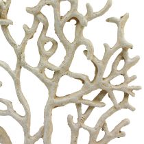 Artículo Decoración de mesa marítima coral beige decorativo coral poliresina Al. 20 cm