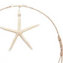 Artículo Decoración de pared marítima con estrella de mar real Ø26,5cm H65cm