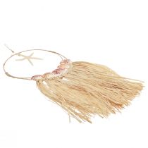 Artículo Decoración de pared marítima con estrella de mar real Ø26,5cm H65cm