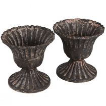 Artículo Mini taza decorativa vintage metal óxido negro Ø8cm H8,5cm 2ud