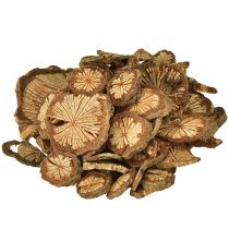 Artículo Mini discos de madera para decoración de nuez de betel con veta 1-4,5cm 300g