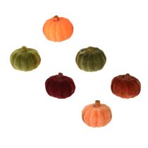 Artículo Mini calabaza decorativa flocada para esparcir, 6 colores, Ø4cm, 24 unidades