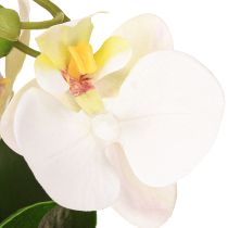 Artículo Mini orquídeas artificiales blancas en maceta 15cm