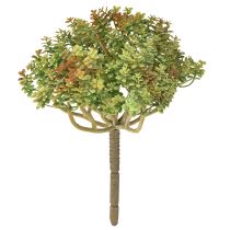 Artículo Mini planta suculenta artificial verde con tallo H23cm