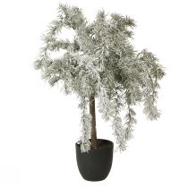 Artículo Mini árbol de Navidad en maceta cedro nieve artificial H60cm