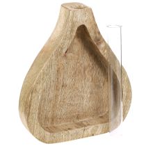 Artículo Mini jarrón tubo de ensayo de vidrio decoración de madera transparente natural H17cm 2 piezas