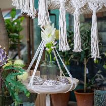 Mini florero vidrio botella decorativa marrón claro retro Ø5cm H13.5cm