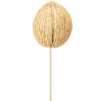 Artículo Bola Mintolla blanqueada 8cm - 10cm L46cm 6 piezas