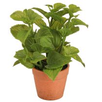 Artículo Menta en maceta Hierbas artificiales Plantas artificiales 18cm 2 piezas