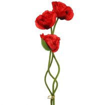Rojo amapola 58cm - 74cm 3 piezas
