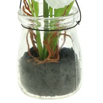 Artículo Amapola en vidrio para colgar. Blanco. A22cm