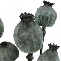 Cápsulas de semillas de amapola decoración de semillas de amapola de floristería seca de color negro 50-60cm 5 piezas