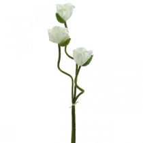 Flor artificial Amapola artificial Rosa blanca L55/60/70cm Juego de 3