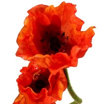 Artículo Amapolas artificiales flores artificiales naranja 58cm–74cm 3ud