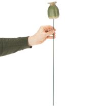 Artículo Adornos de jardín con forma de cápsula de semillas de amapola para encantadores arreglos de jardín, 60 cm, 2 unidades.