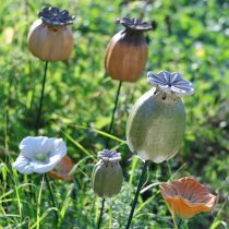 Artículo Estacas de semillas de amapola para decoración de jardín, 60 cm, 2 unidades