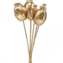 Cápsulas de semillas de amapola semillas de amapola artificiales decoración navideña dorada 38 cm 6 piezas