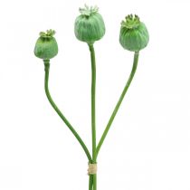 Artículo Cápsulas de semillas de amapola decoración semillas de amapola artificiales en un palo verde 58cm 3 piezas en un manojo