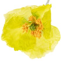 Artículo Decoración de amapola artificial para salones y oficinas, 95cm